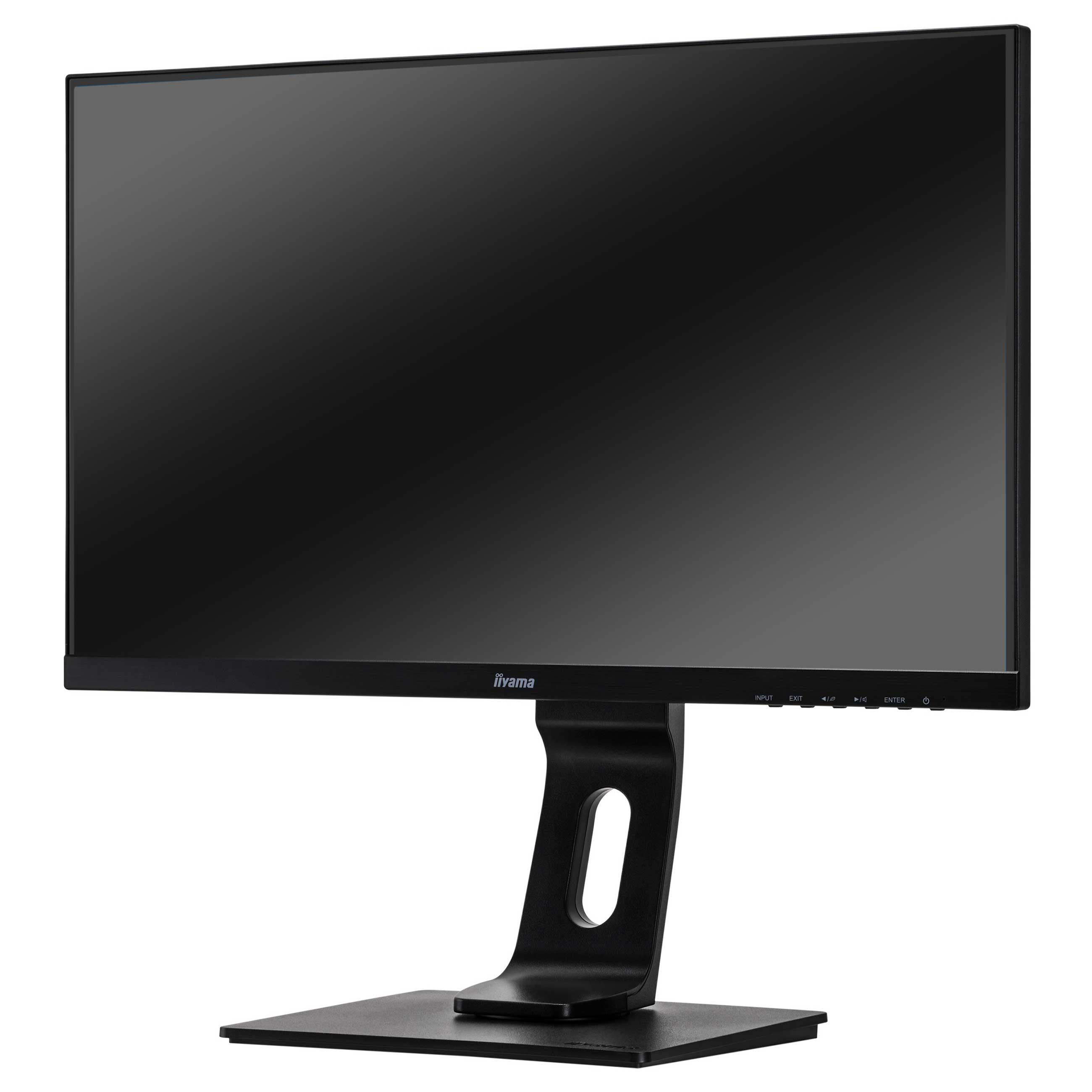 Iiyama ProLite XUB2492HSU